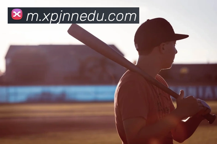 奖项证书
